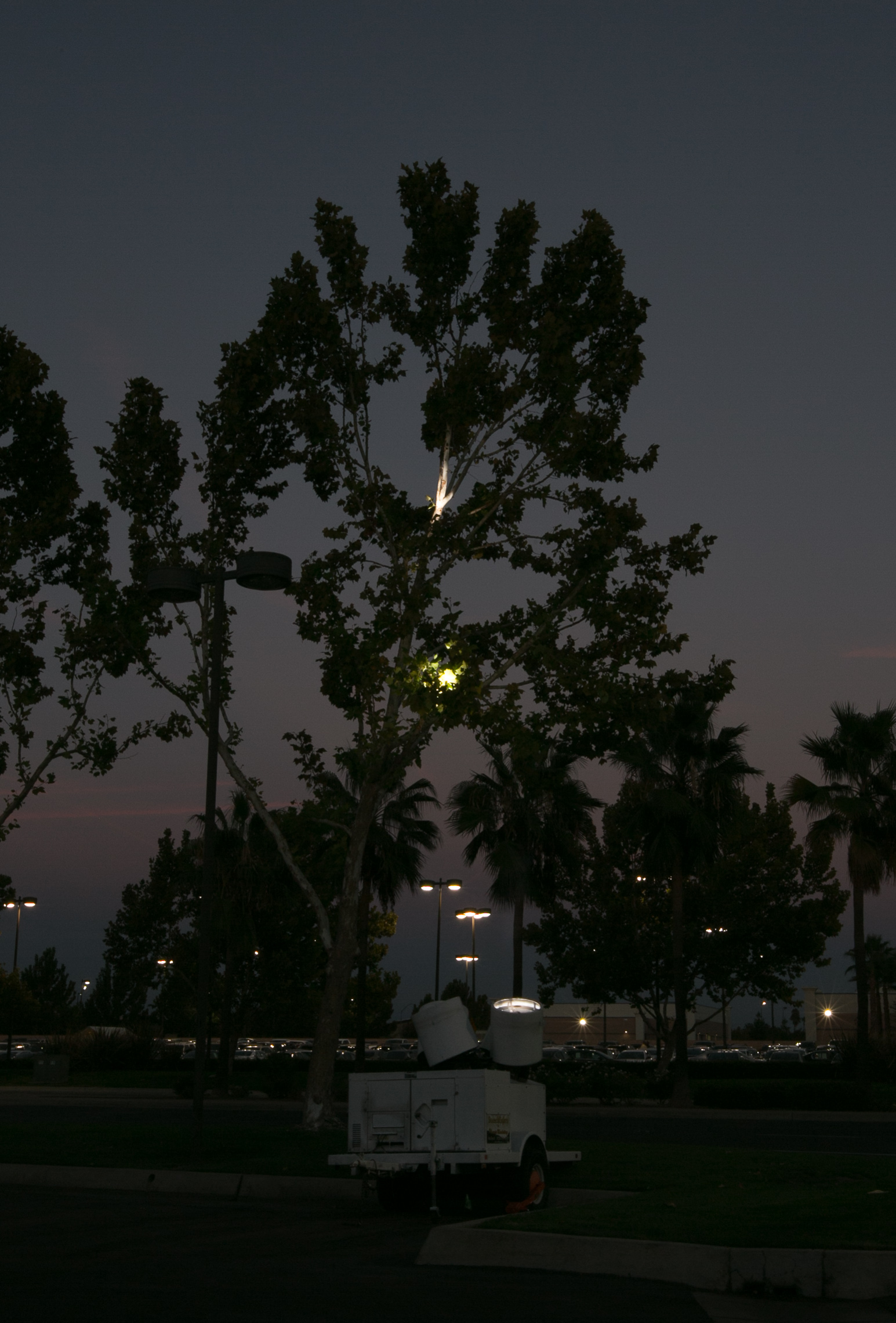 BMW Fresno Decor 9295.jpg