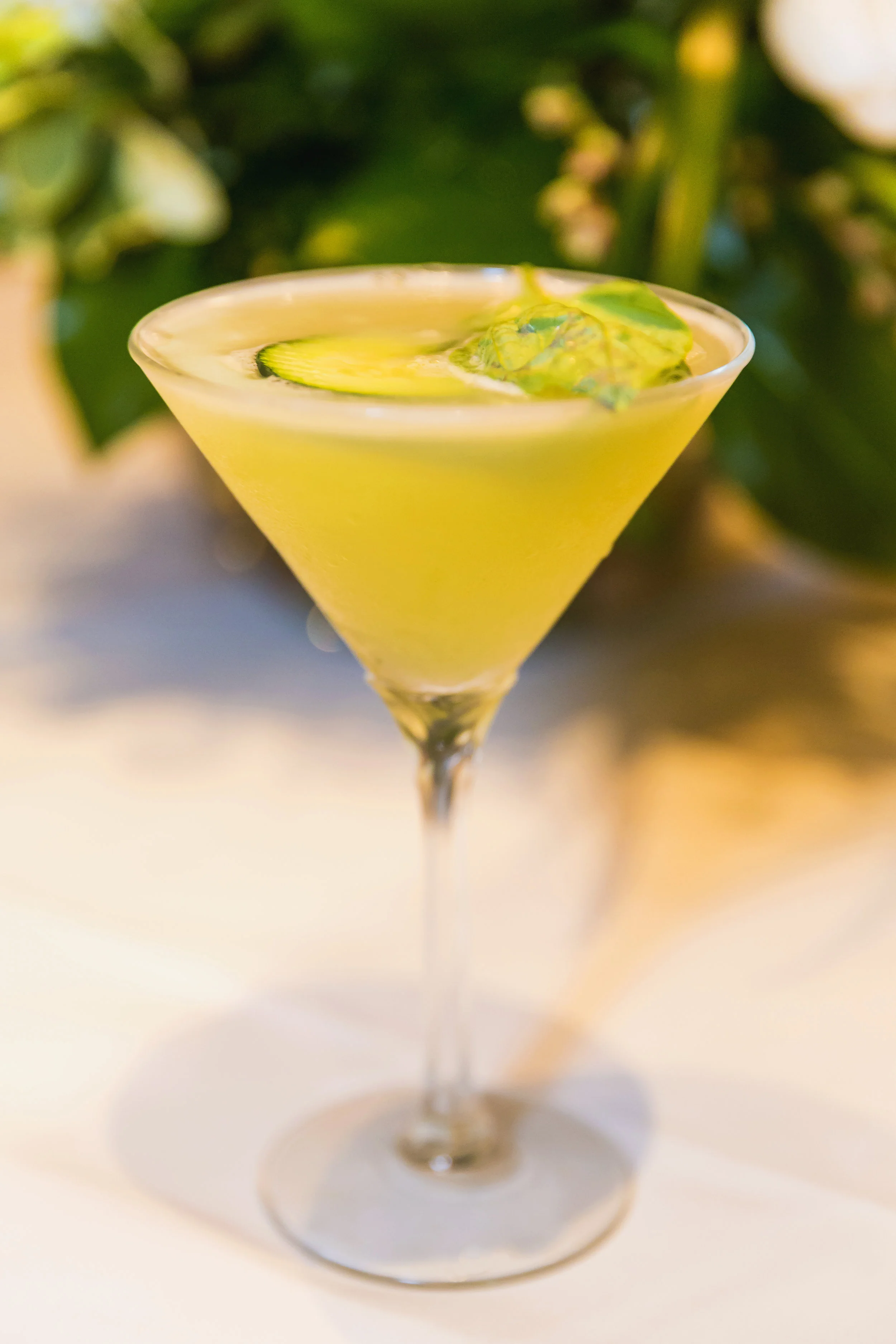 SHAKE + STIR THE ELBOW ROOM BAR &amp; GRILL
