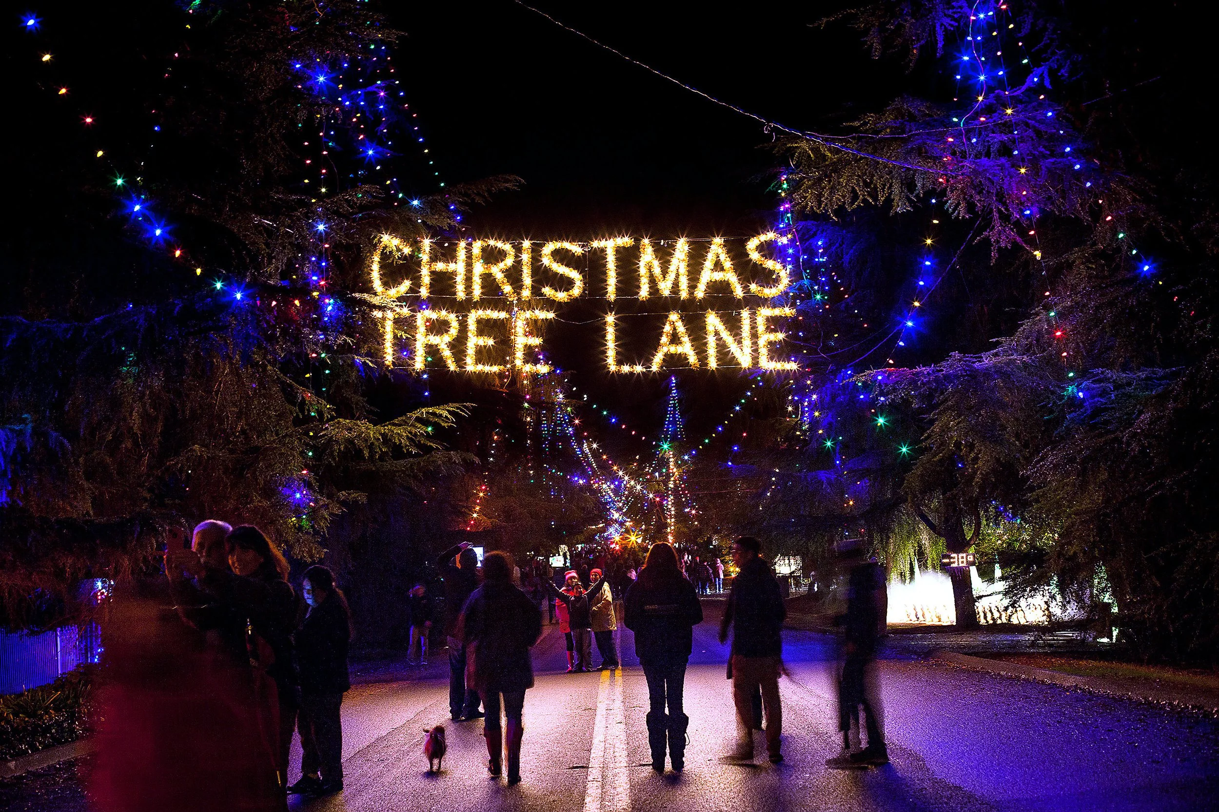 O CHRISTMAS TREE