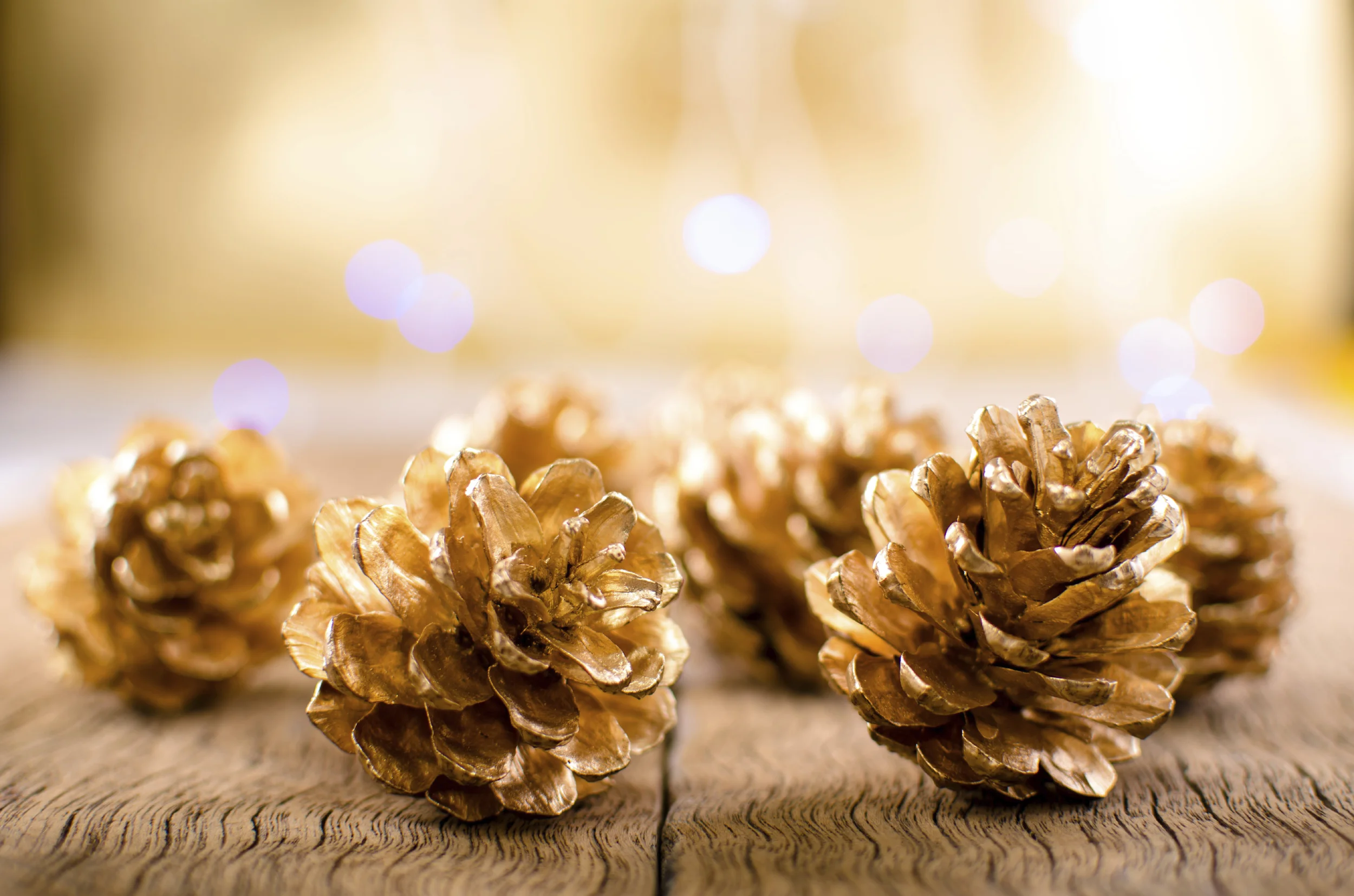 Fall Fever: Cozy Up Your Home