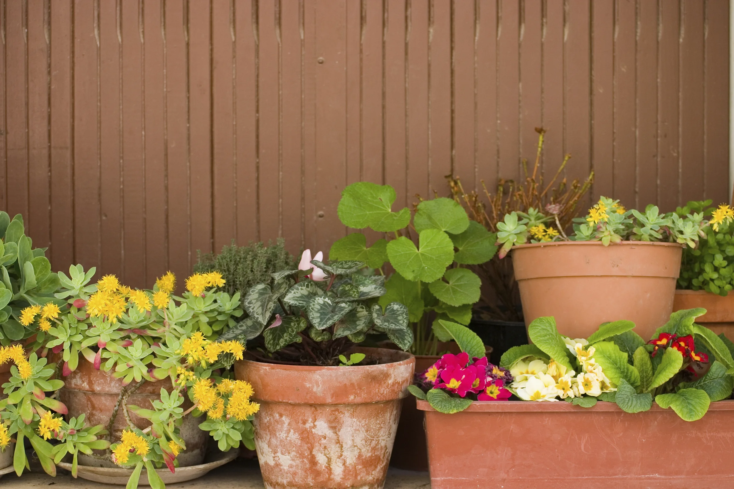 Enhance your Outdoor Space