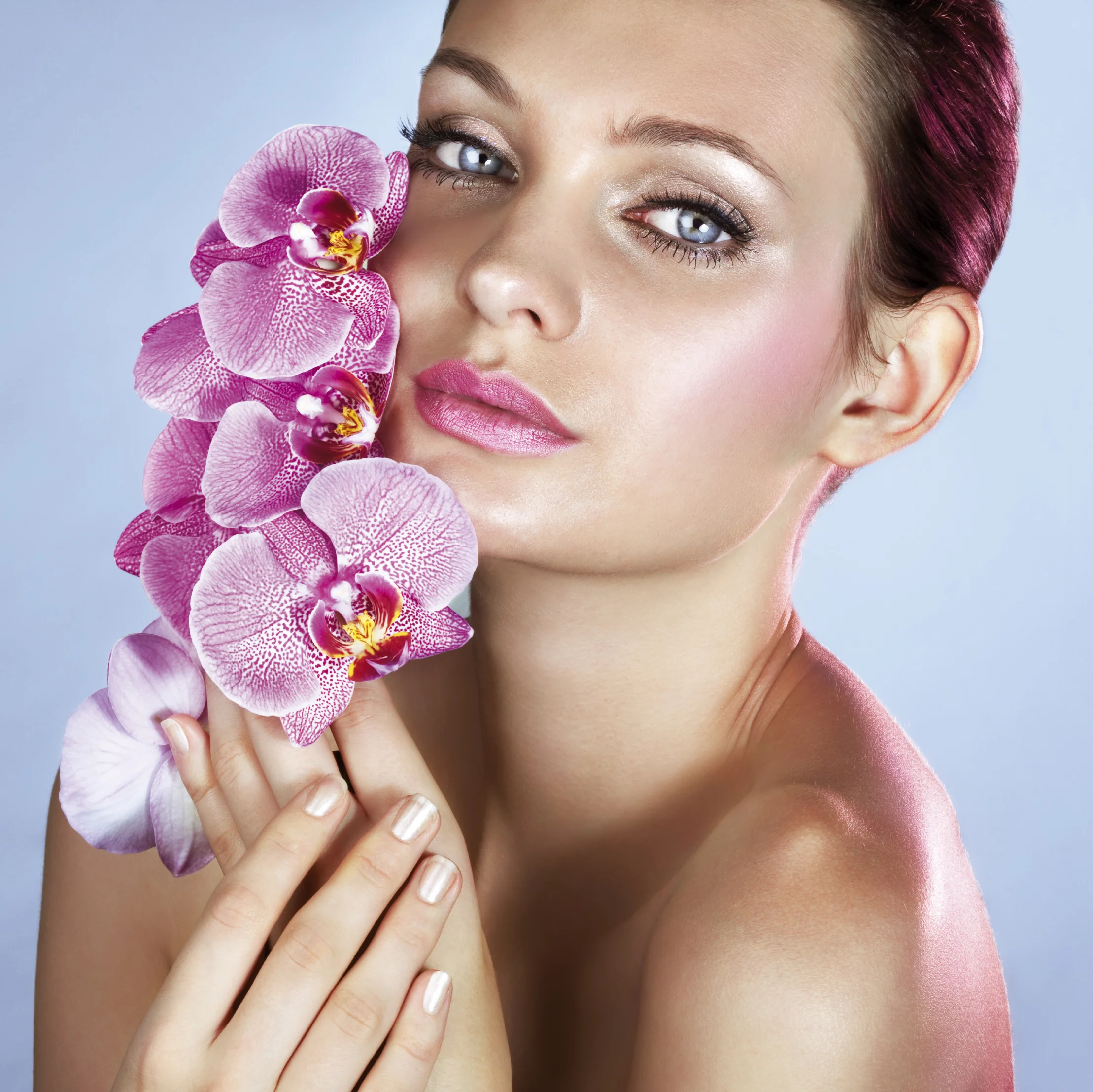 Gardening: Dreaming about Orchids