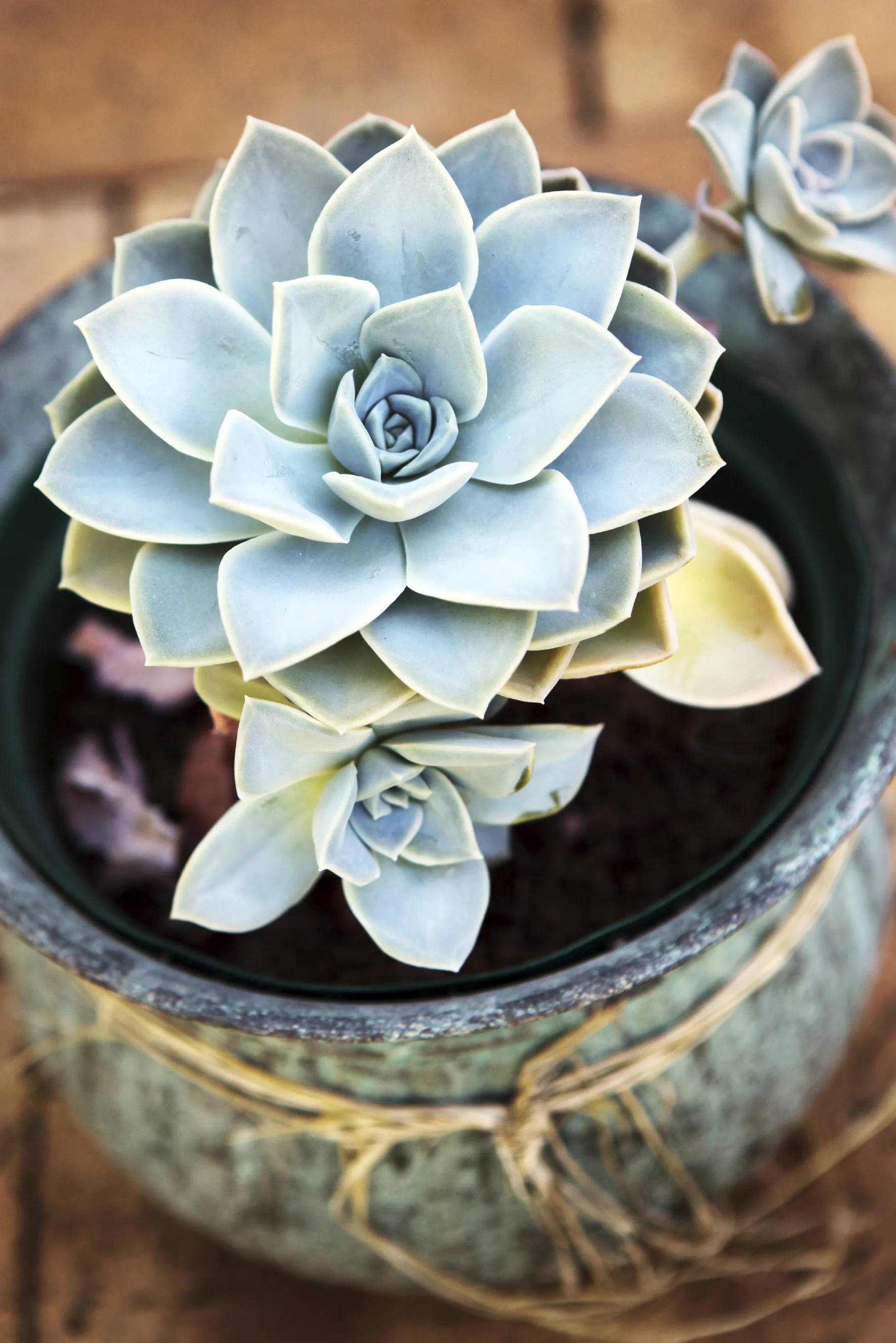 Lux Bridal Ideas: Wedding Gift Guide