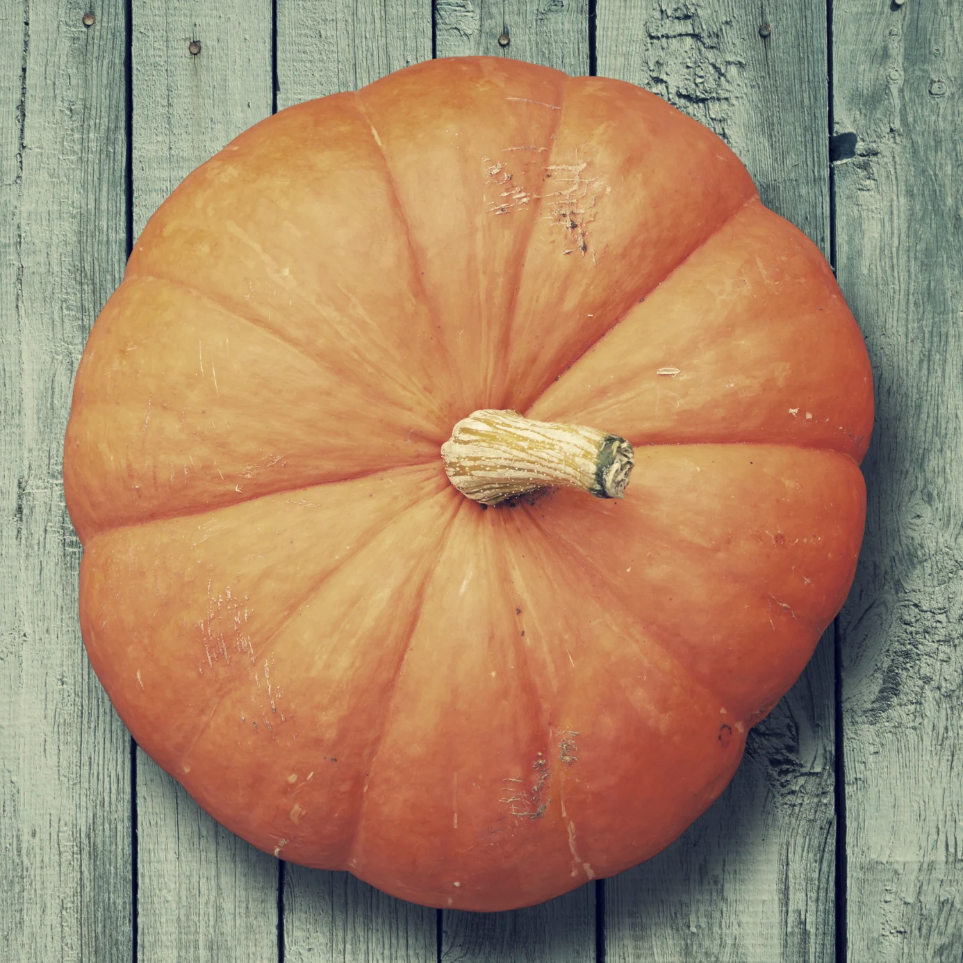 Lux Revitalize: DIY Pumpkin Bath Bombs