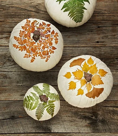 Image via theinspiredroom.net