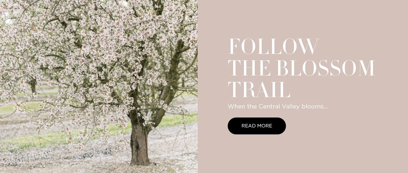 hero-banner-2 copy.jpg