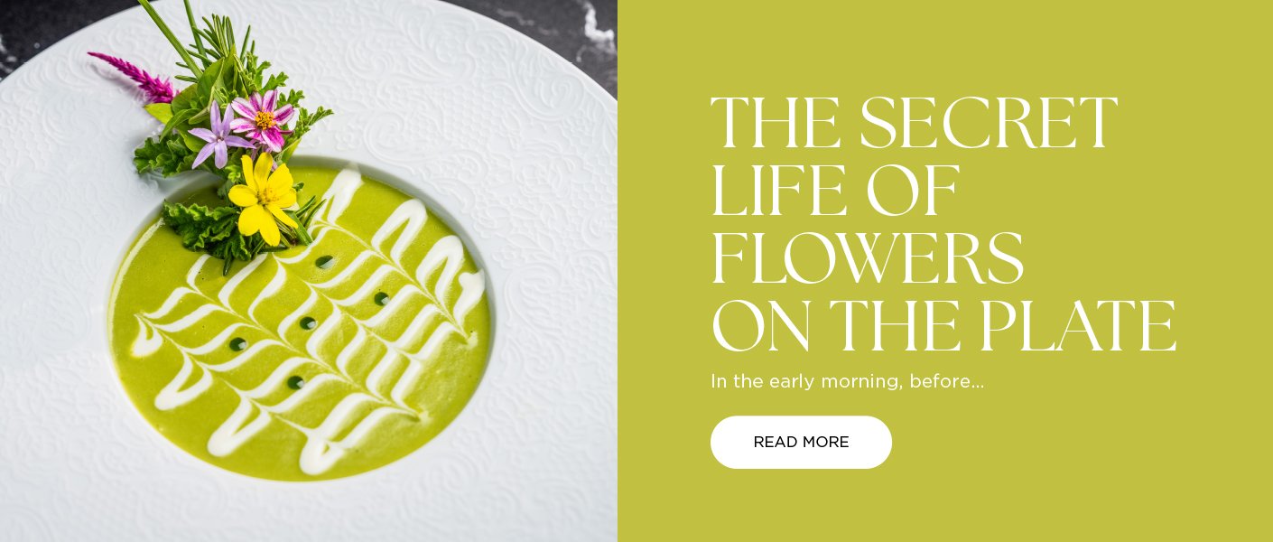 hero-banner-3 copy.jpg