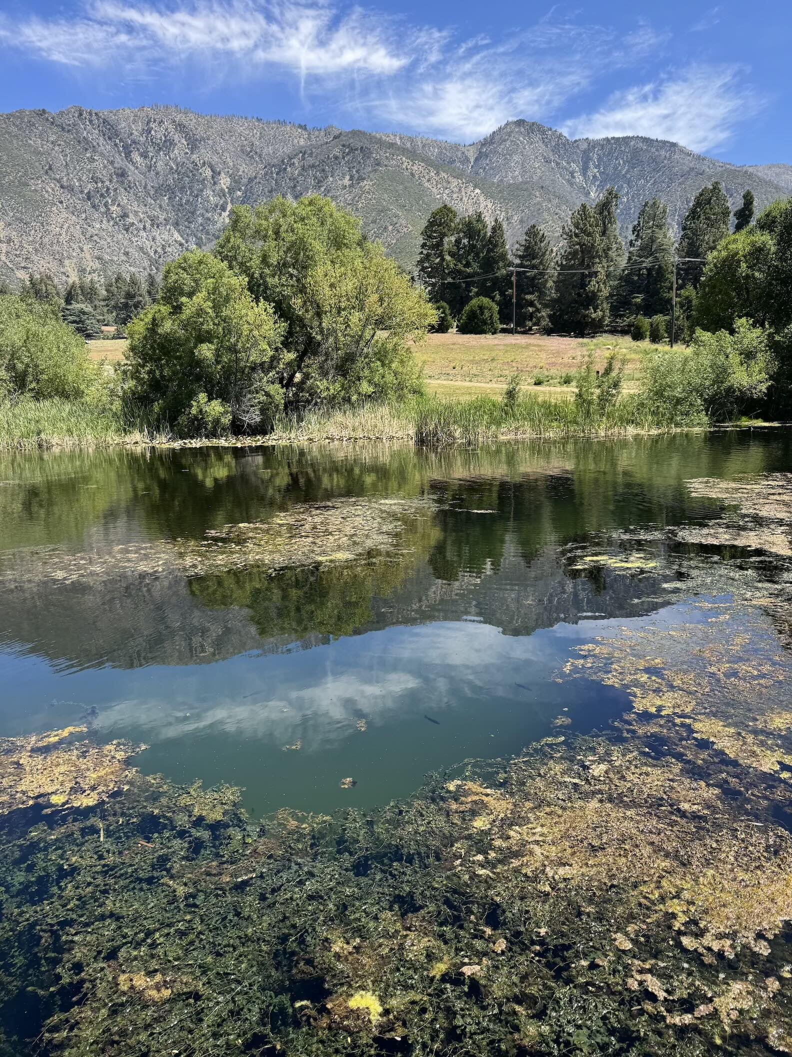 Photos of mountains and creek