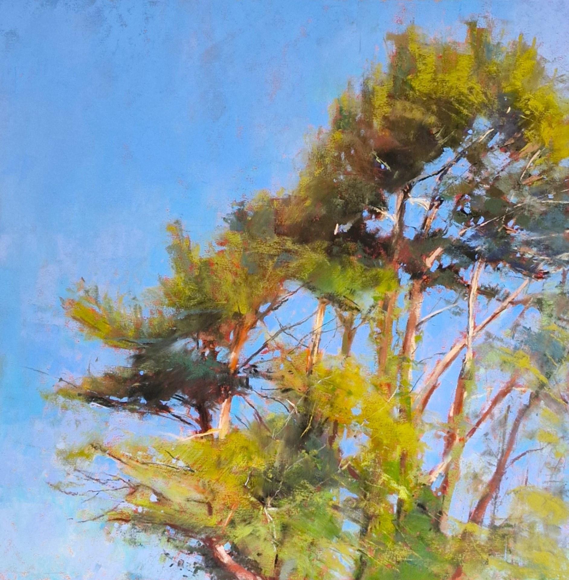 Honorable Mention - "PineTrees and the Sky" by Jo Burton