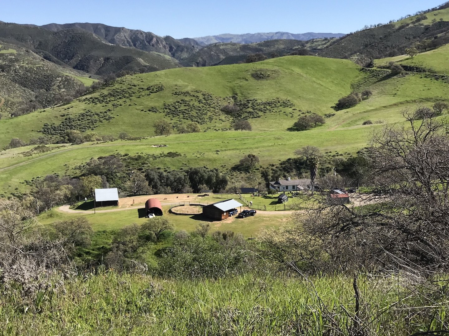 The cattle ranch