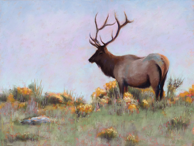 Pastel painting of an elk in landscape