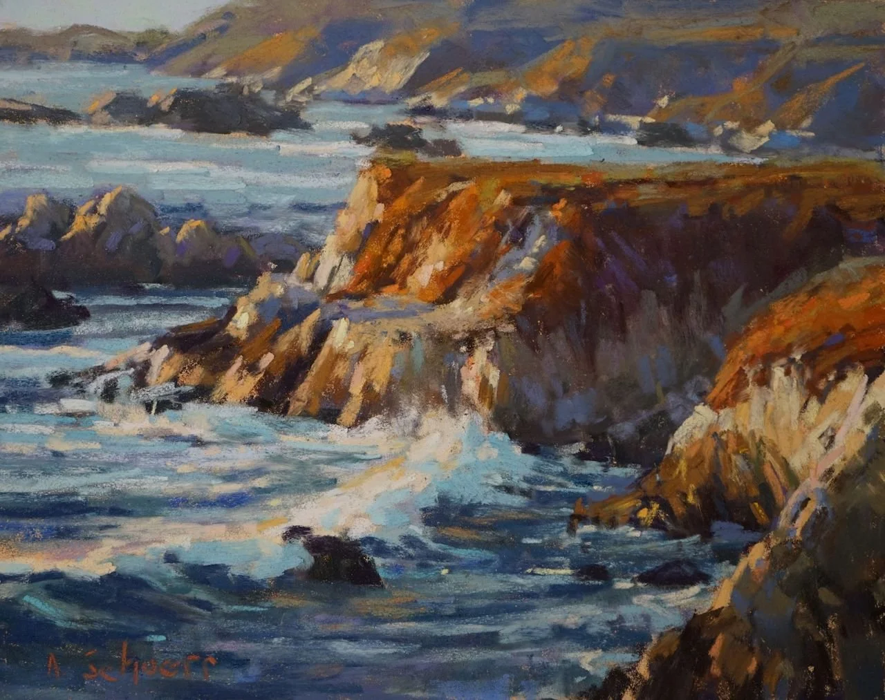 Garrapata Study