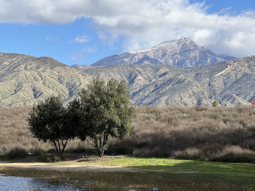 A photo looking north from the park, by Chris Stillians