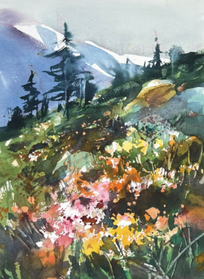 Cibere-mountain_wildflowers.png