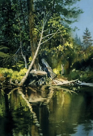 Cibere-treeandriver.png