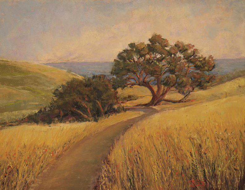 SILVER HONORABLE MENTION - Coastal Sunset by Nancy Veits