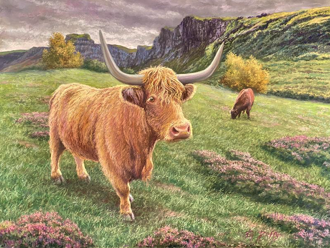 PEOPLE'S CHOICE - Pride of the Scottish Highlands by Bridget Duffy