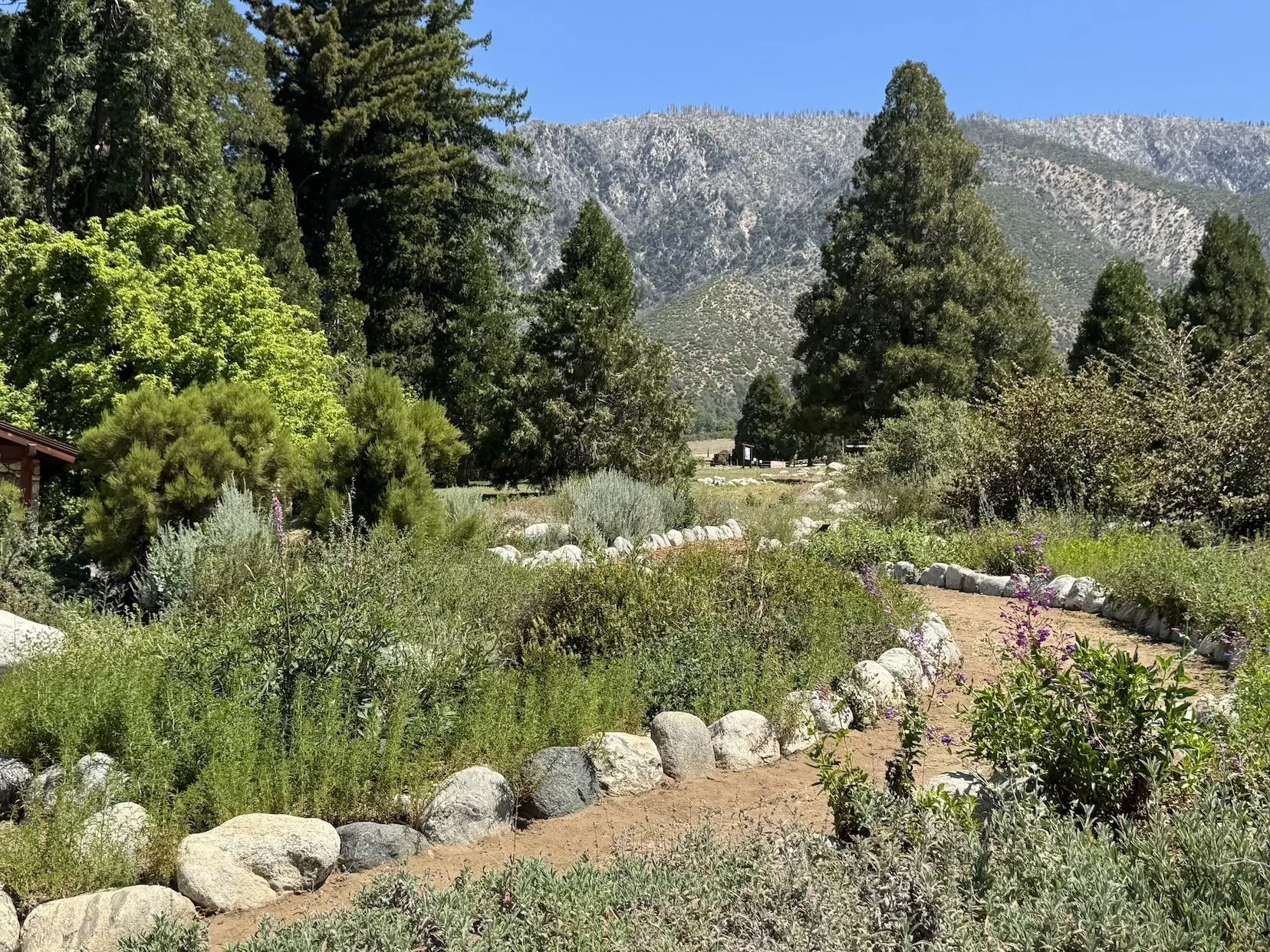 Oak Glen Preserve Paint-Out