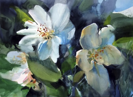 Watercolor painting of white blossoms