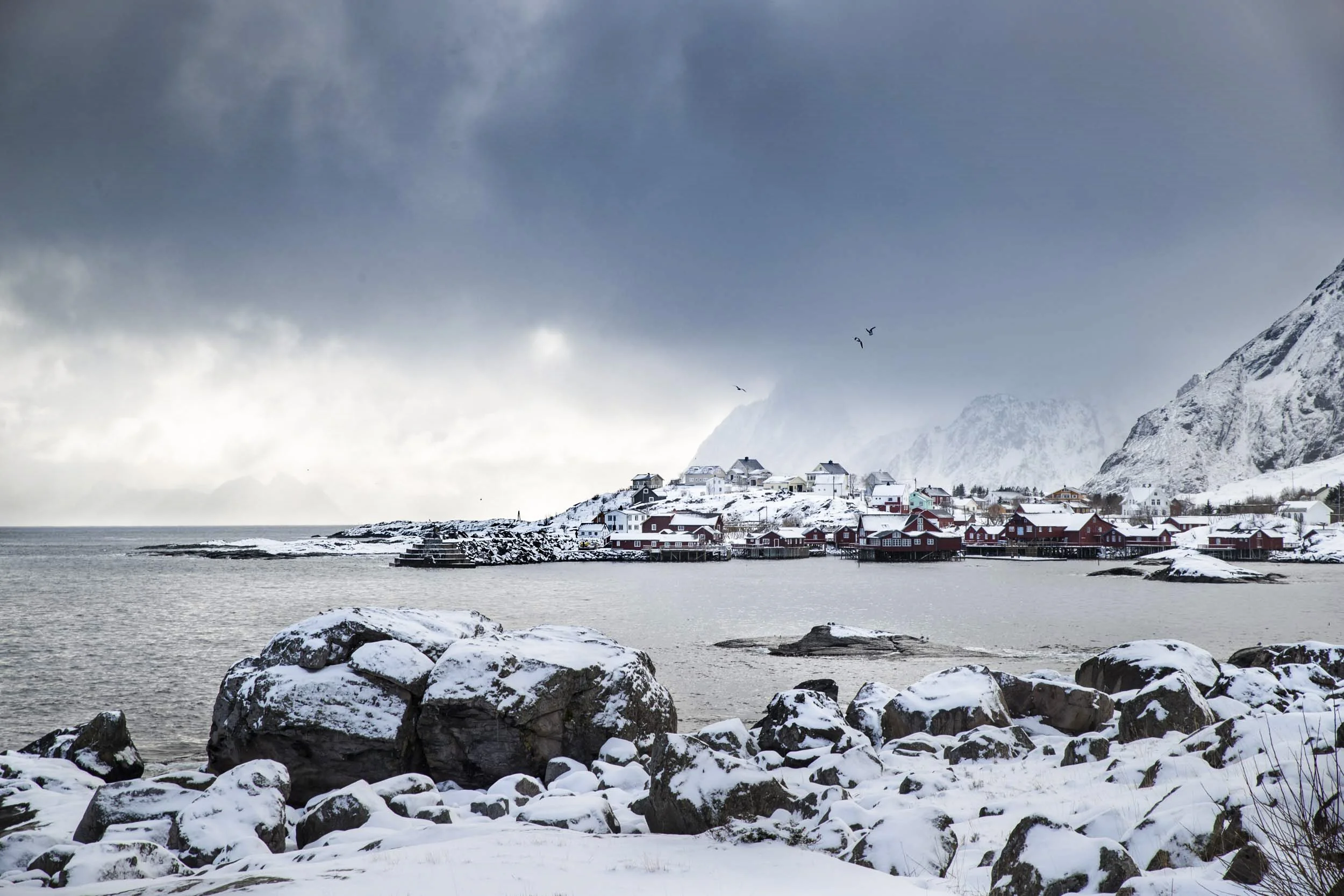20170318_Lofoten_Day5_0344.jpg