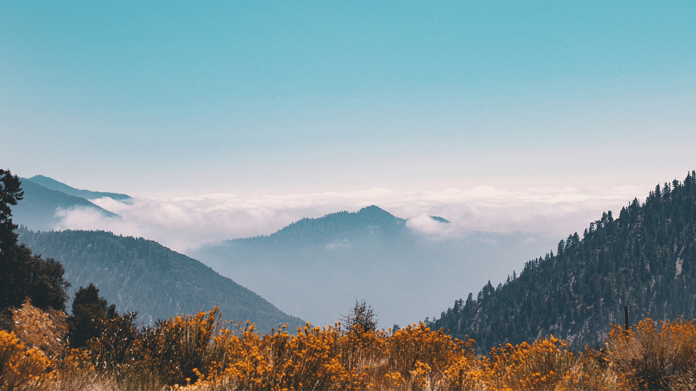 Mountain tops, clouds and mountain flowers aligns with ambitious goals - anything is possible
