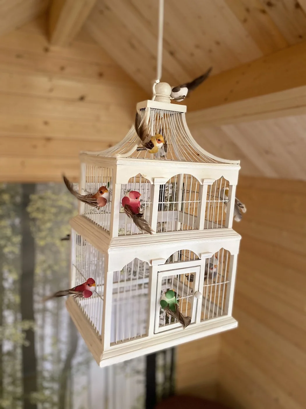 Bunkie inside bird light (low).jpg
