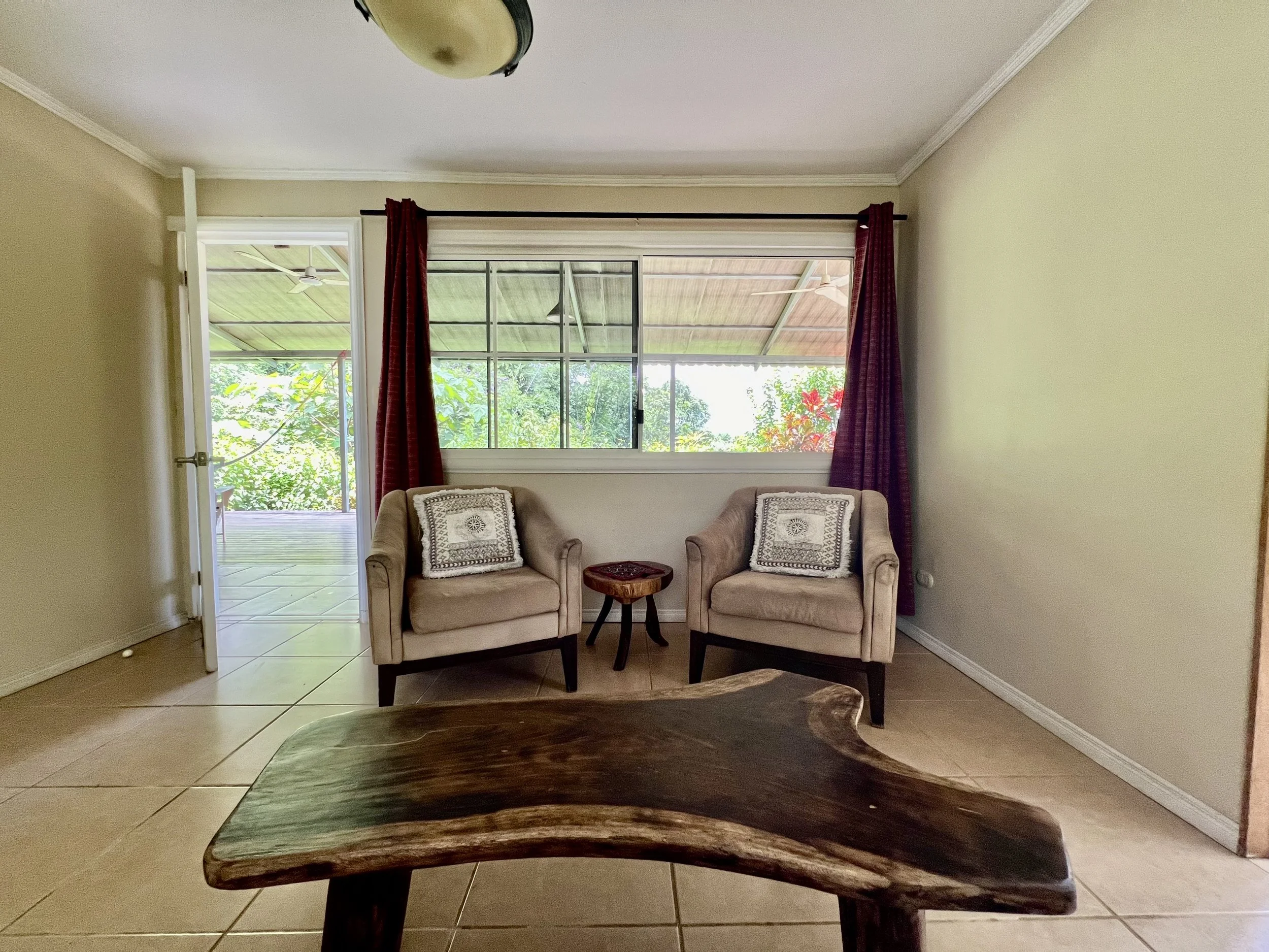 Iguana Living 6.jpeg