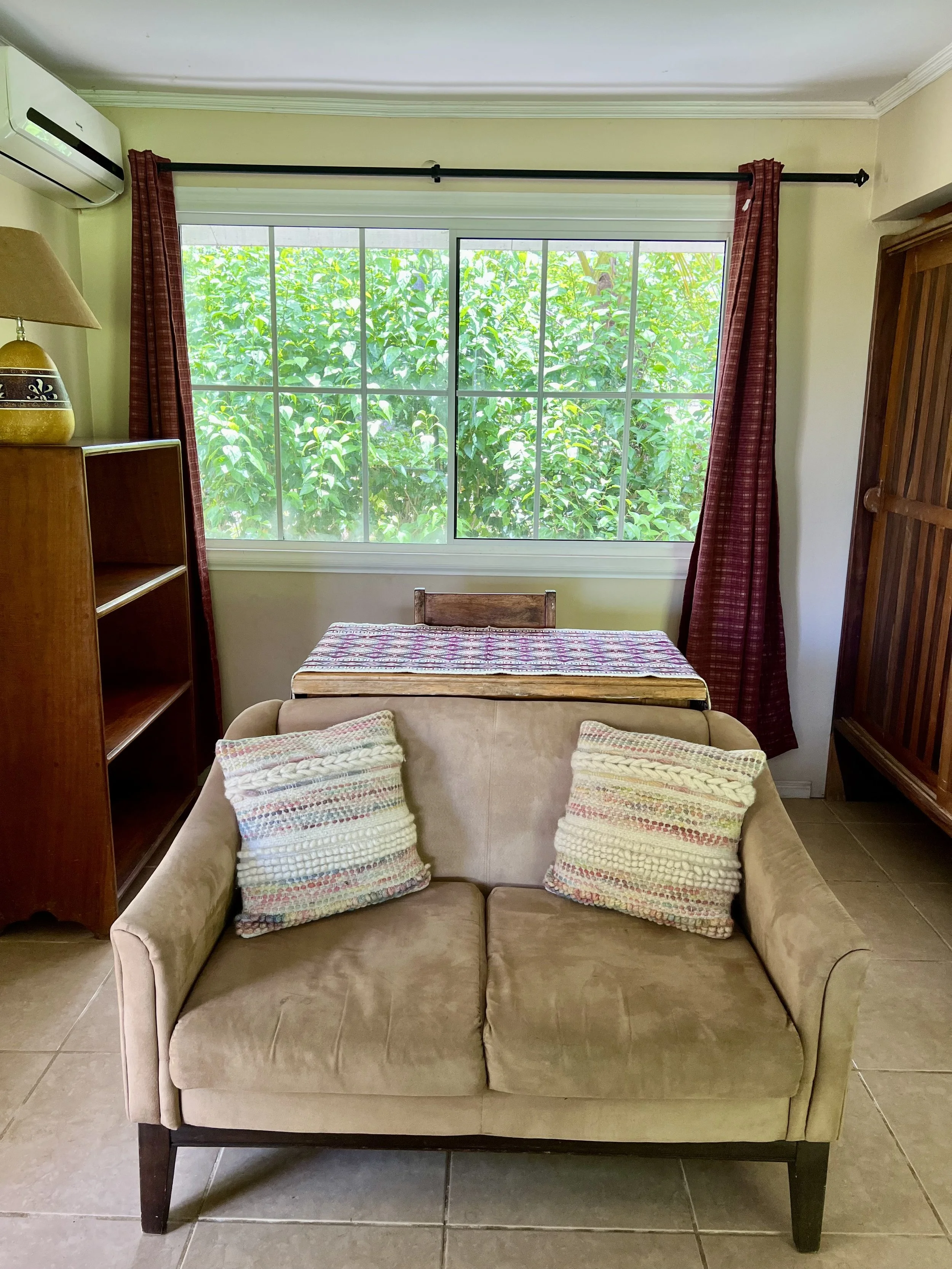 Iguana Living 4.jpeg