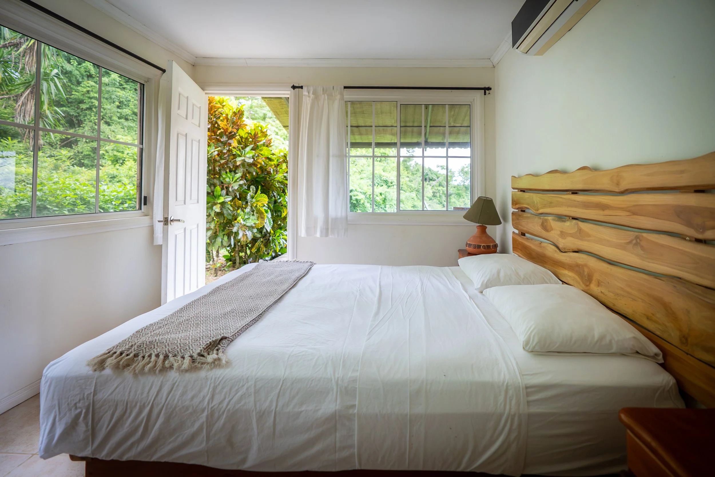Iguana Bedroom.jpg