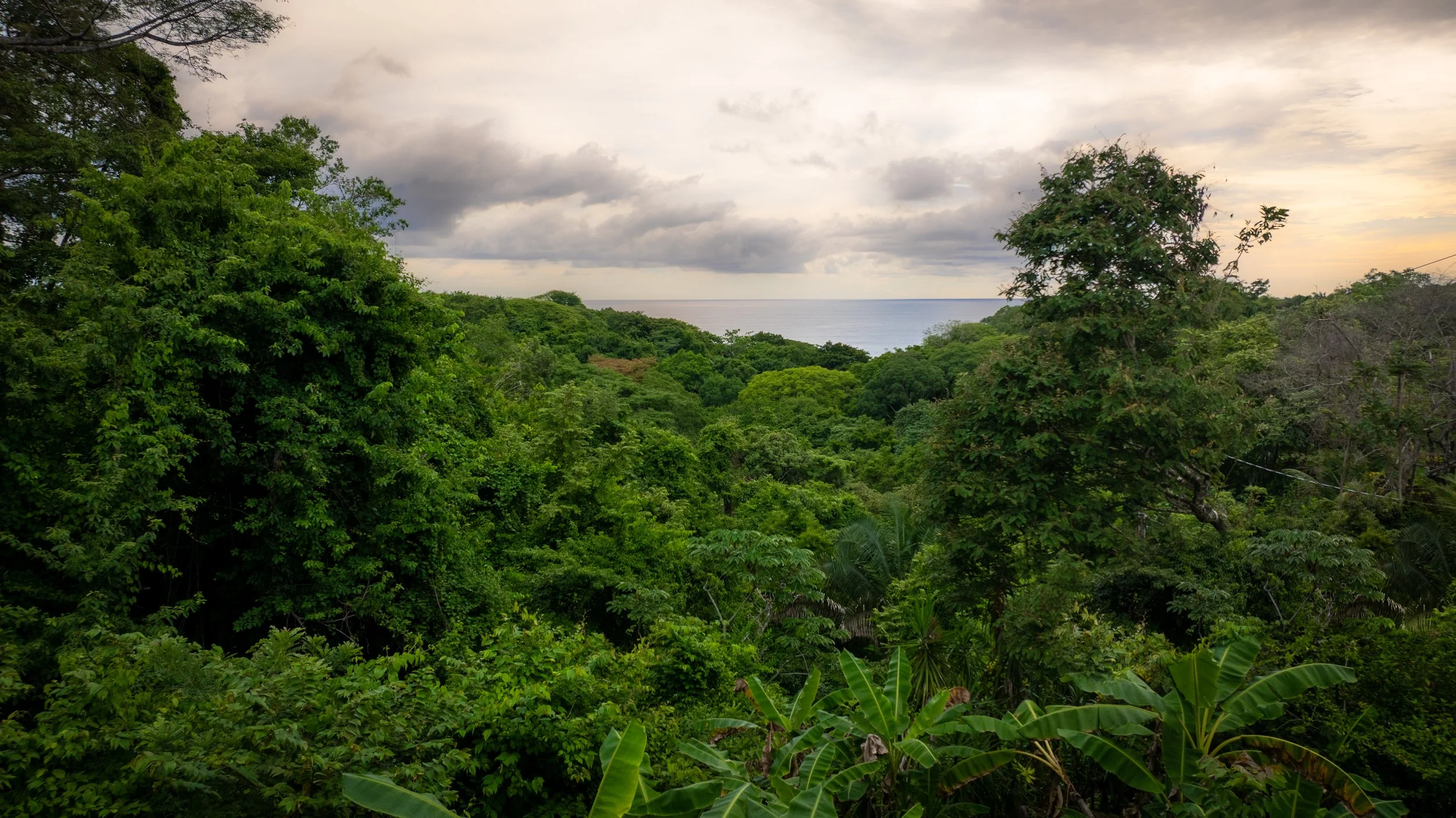 Ocean view guest house for sale for rent close to beach nosara guanacaste costa rica blue zone