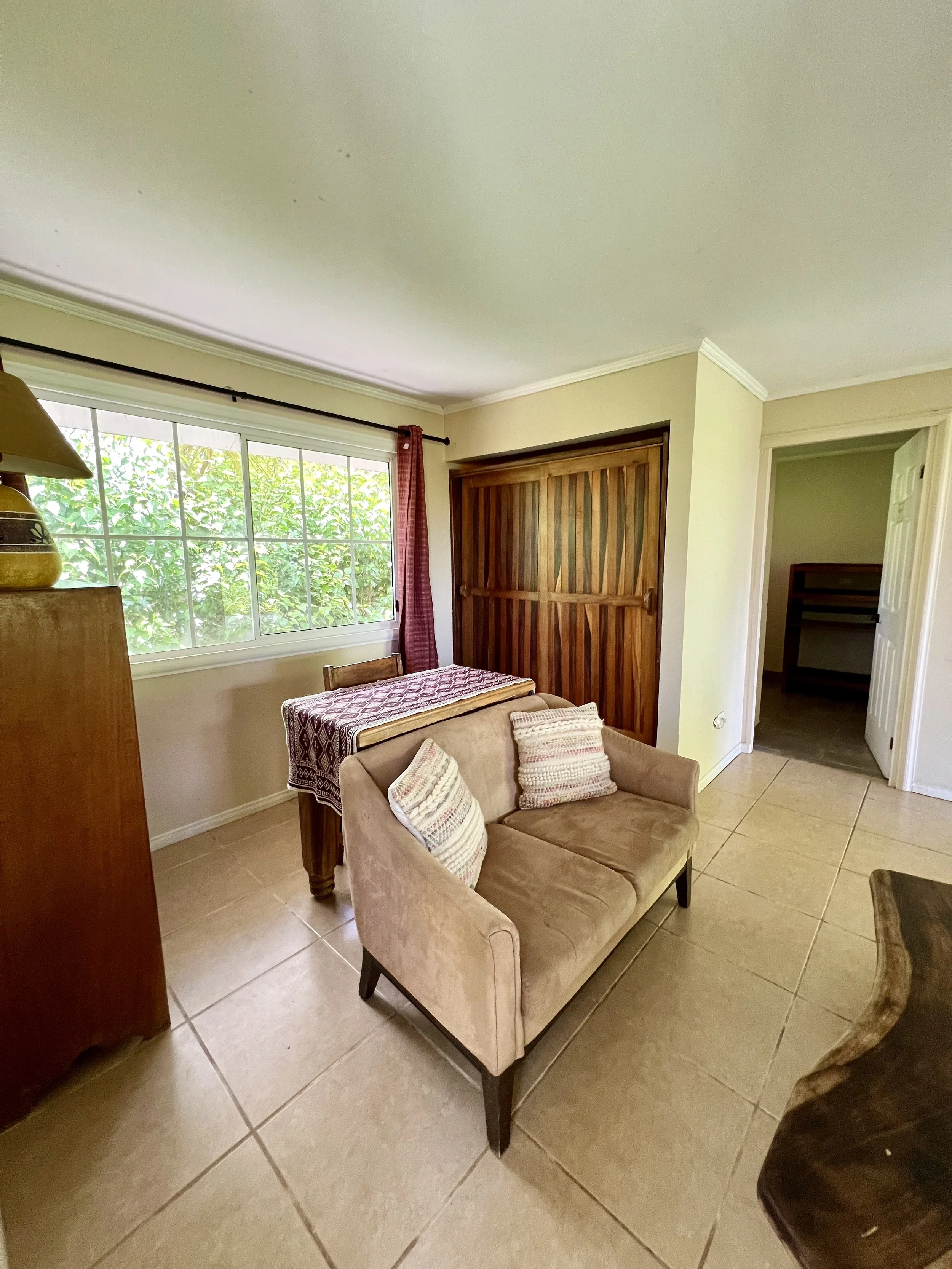 Iguana Living 3.jpeg