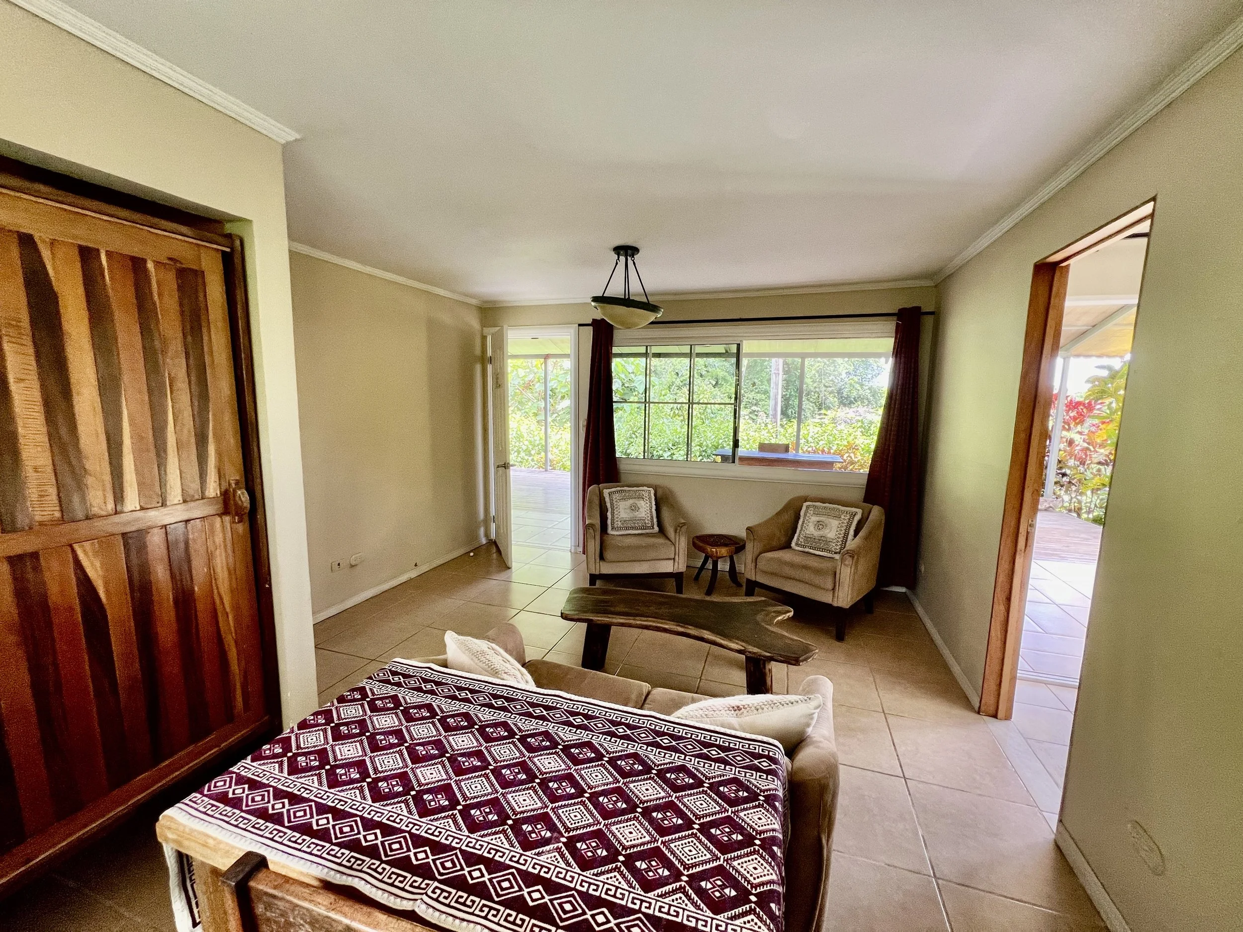 Iguana Living 5.jpeg