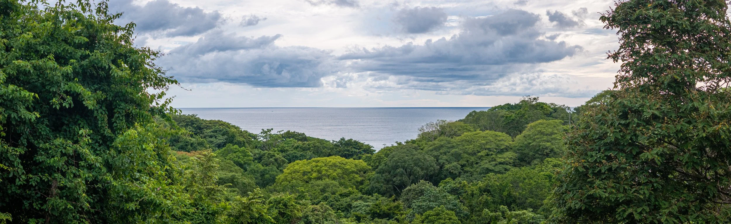 Ocean View.jpg