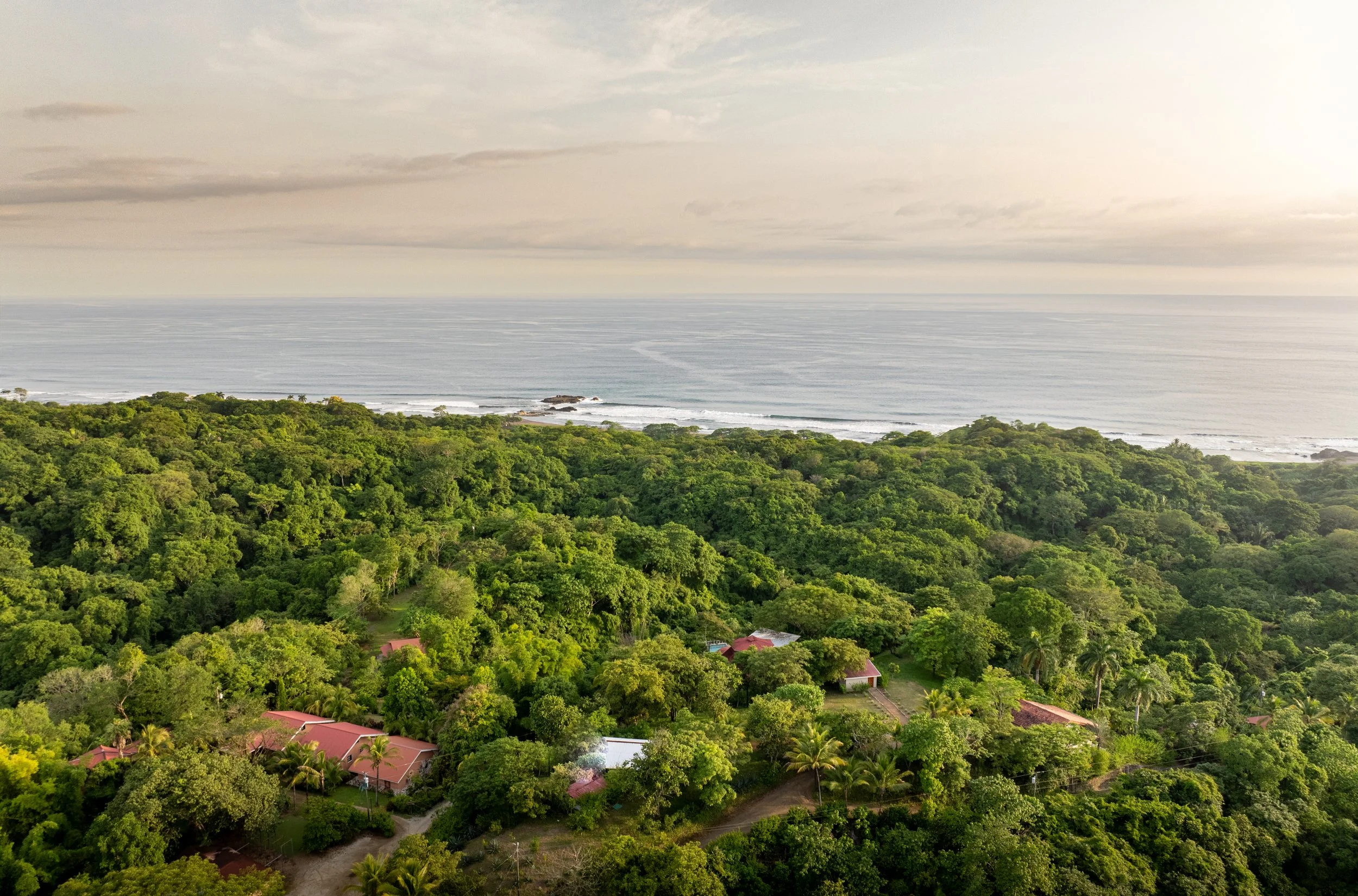 Aerial view of a lush green coastal area with several rooftops and a dense forest leading to the ocean under a cloudy sky.