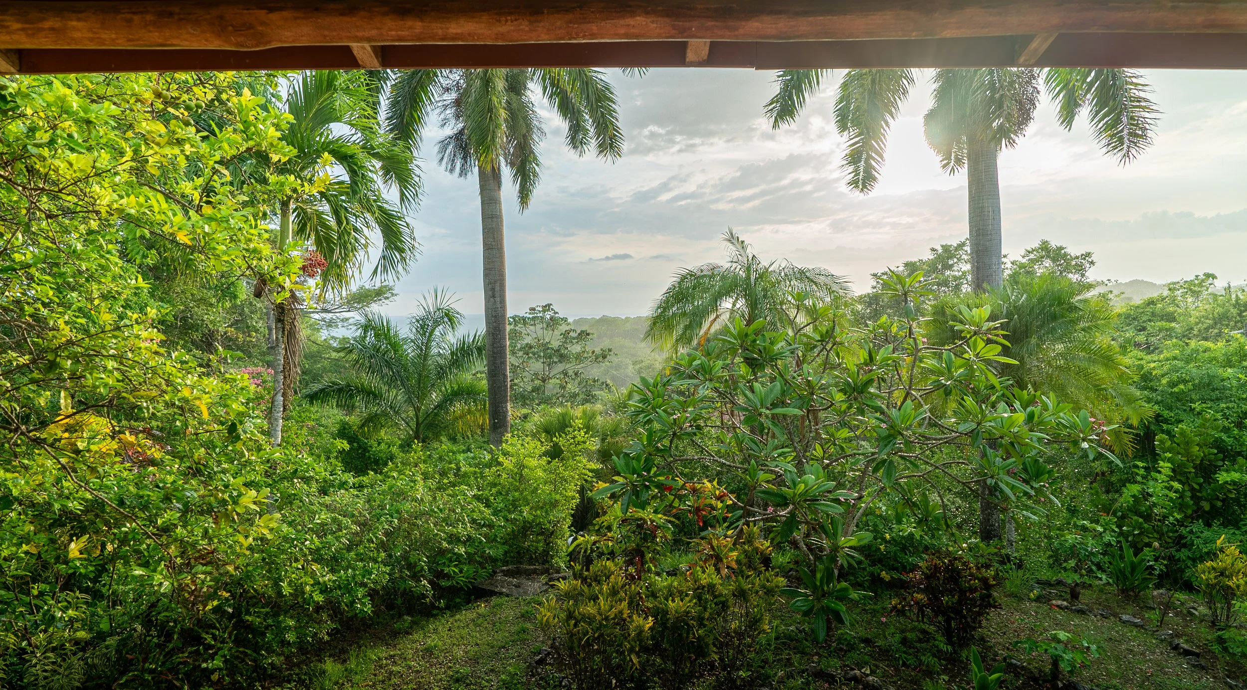 Lush tropical garden with various green plants and tall palm trees, view from a covered porch during daytime with cloudy sky.