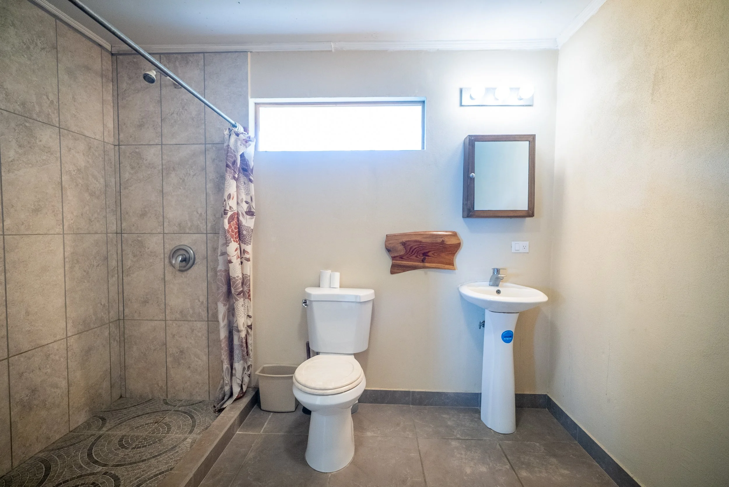 Iguana Bathroom.jpg