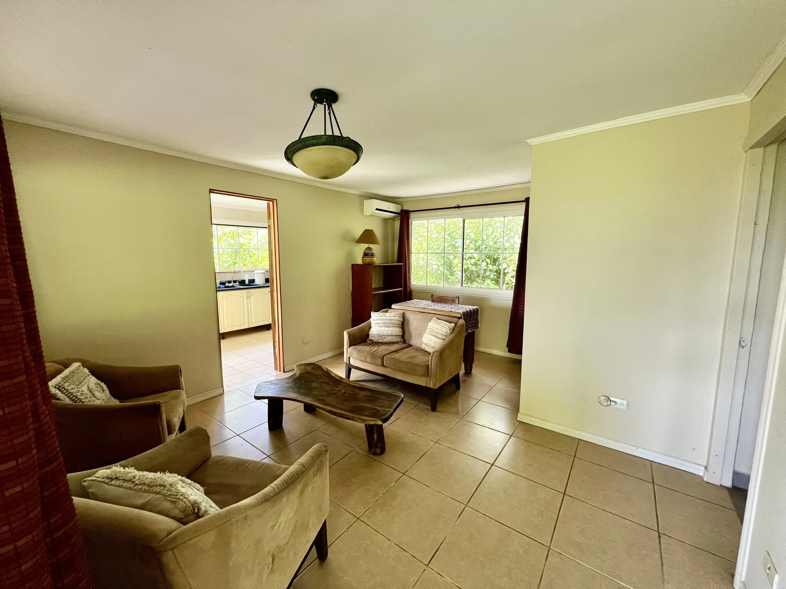 Iguana Living 2.jpeg