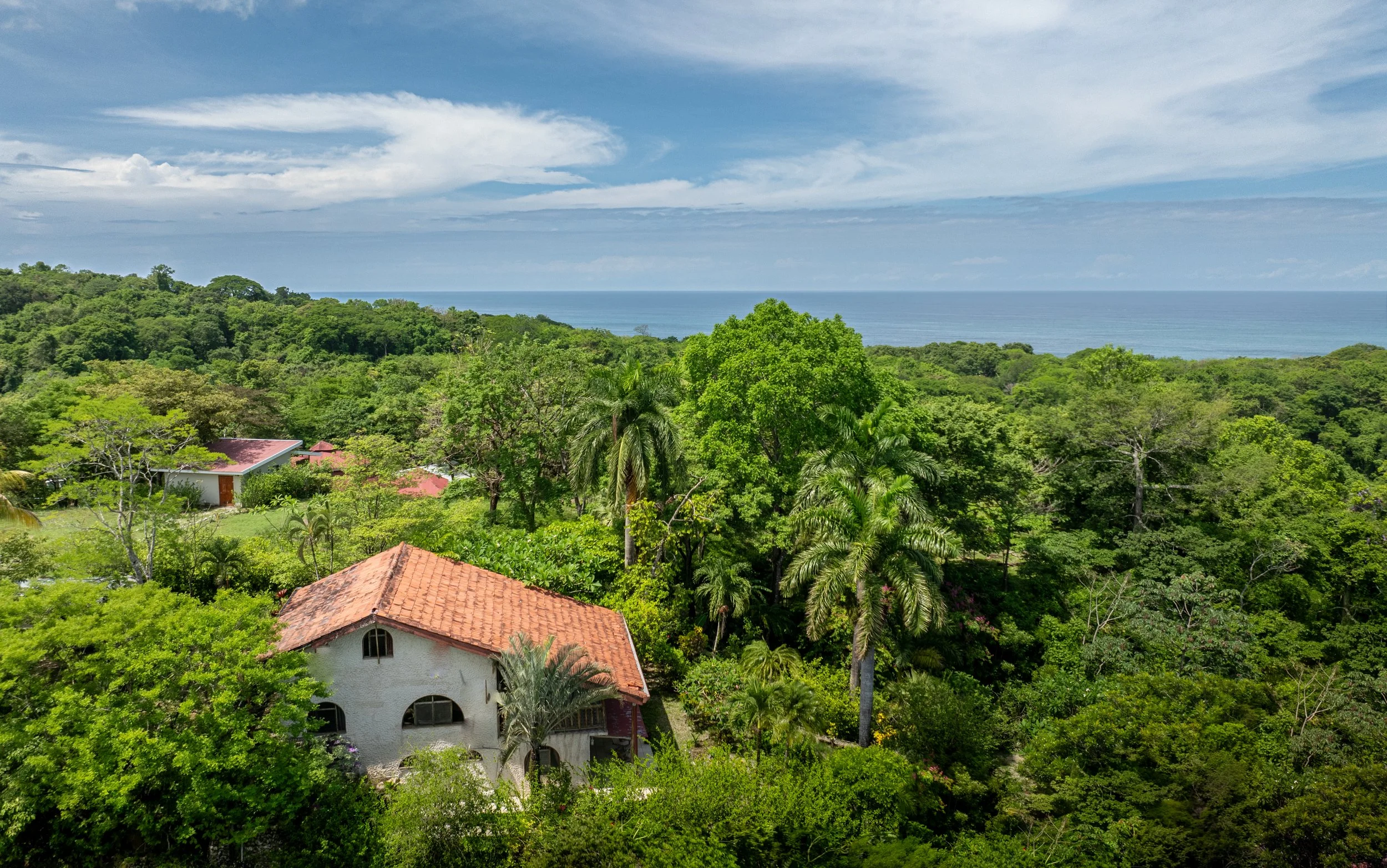 Lush green trees and houses with red-tiled roofs near a coastline with the ocean in the background, under partly cloudy skies.