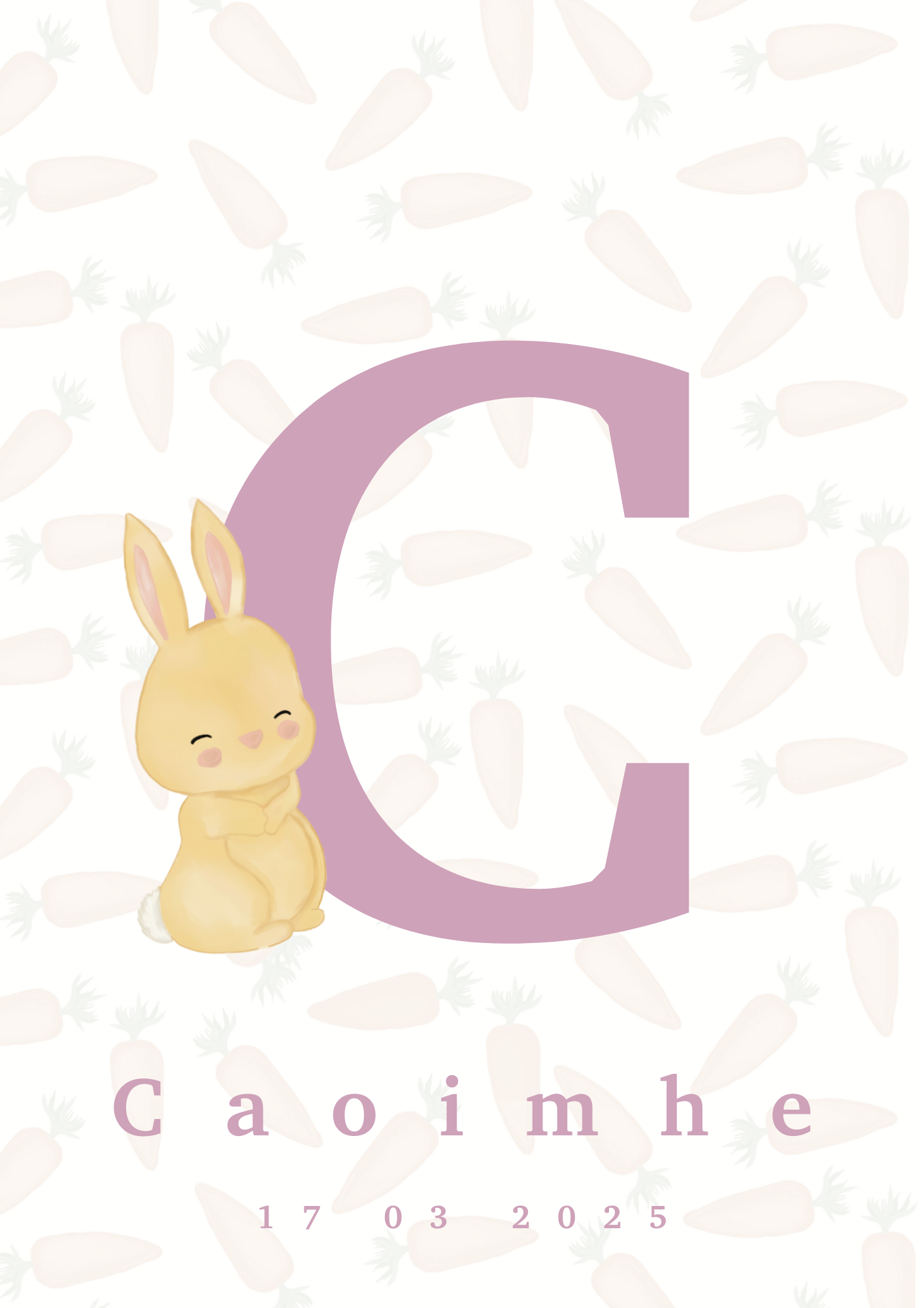 Rabbit Baby Poster.png