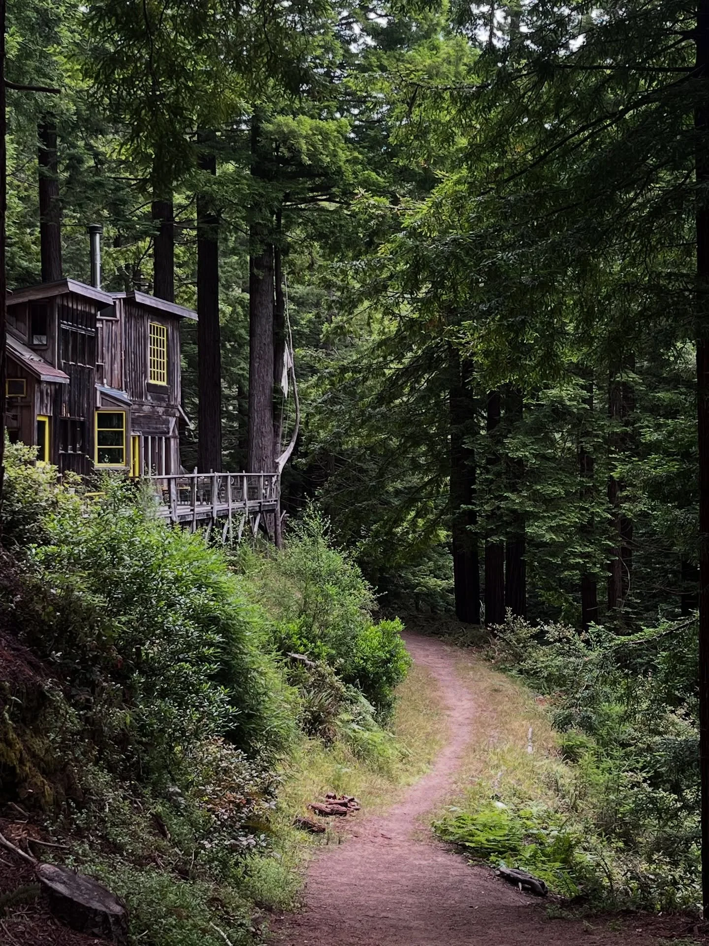 Magical time in the forest. Thank you @salmon_creek_farm for having me.