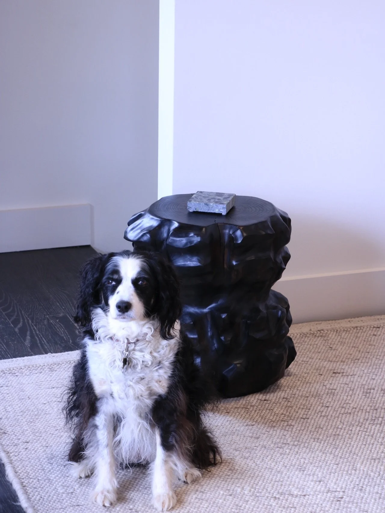 Seat / side table. 18&rdquo; ht x 16&rdquo; dia. Deodar cedar, black on black hard wax and oil. Billy Jean, double hourglass, finished in unkept raggedy fur.