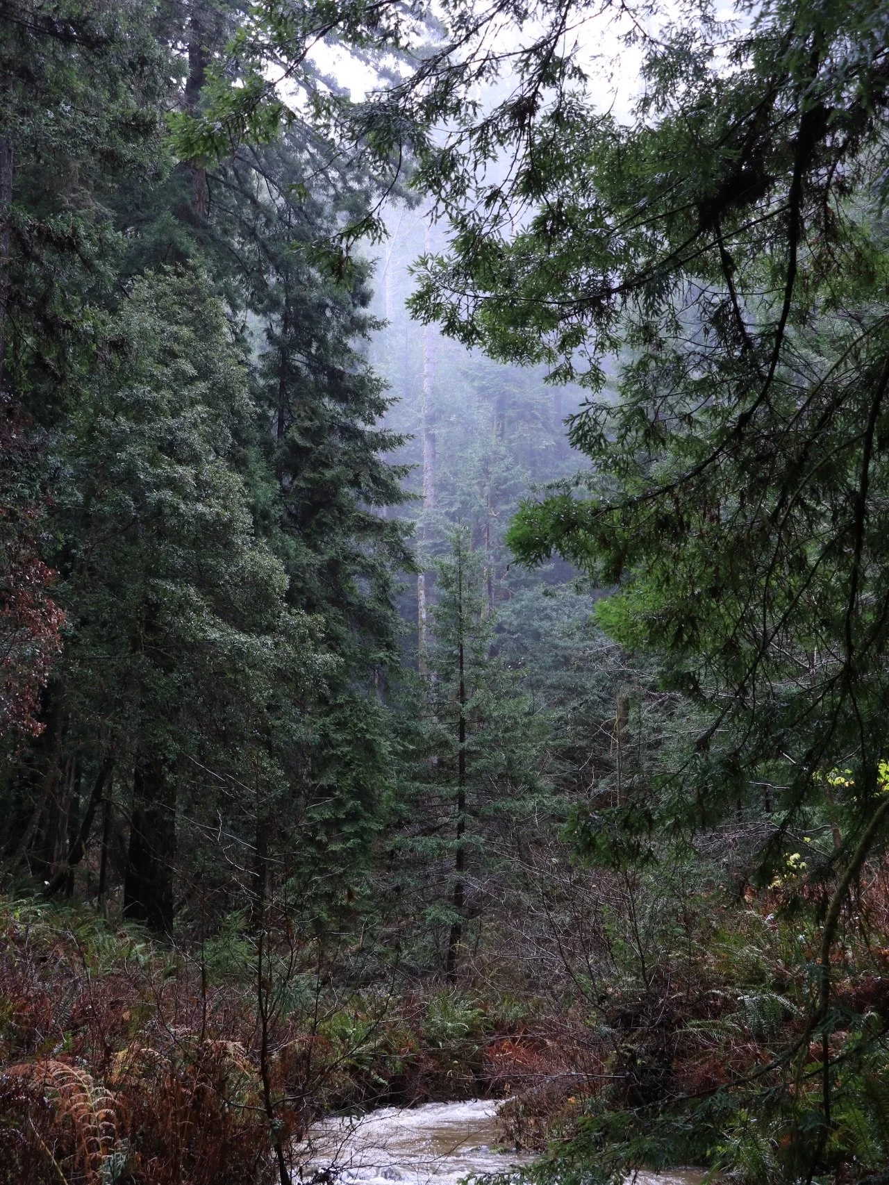 Capped 2025 up north in the trees and rain. Thank you @salmon_creek_farm for the stay.