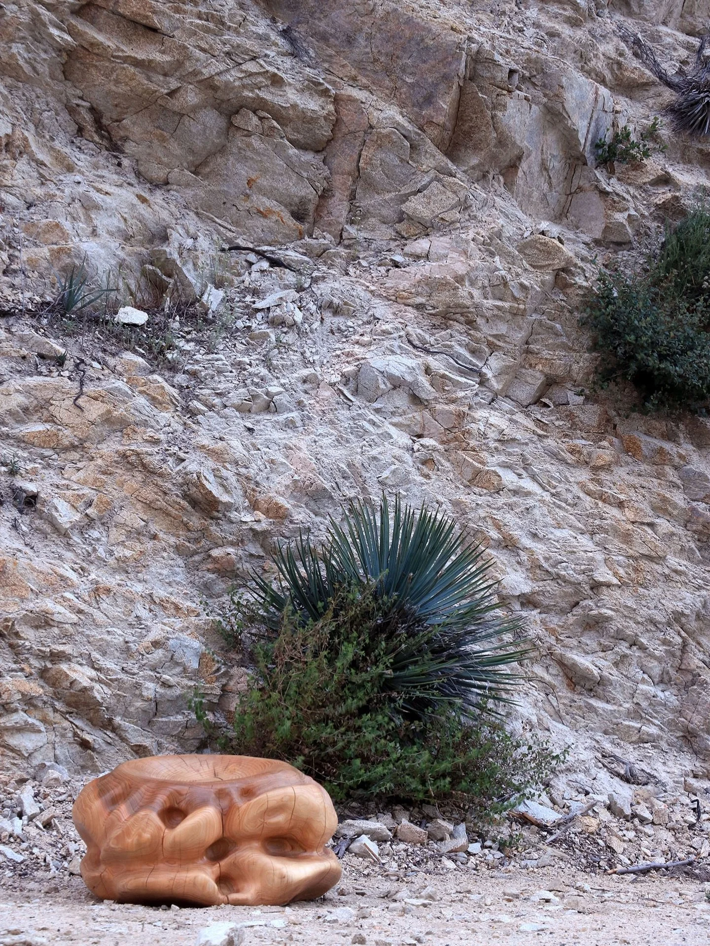 Low seat in the Angeles Forest