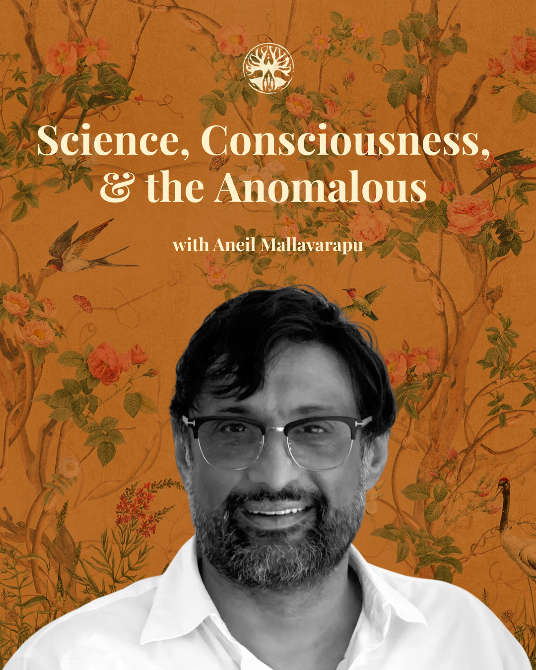 aneil mallavarapu