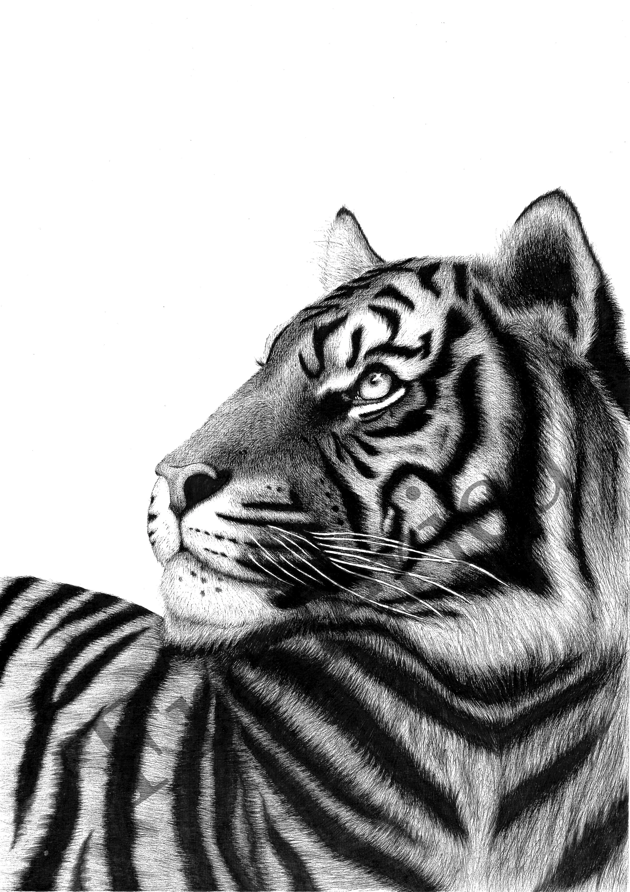 20241005110654769_0001 copy.jpg