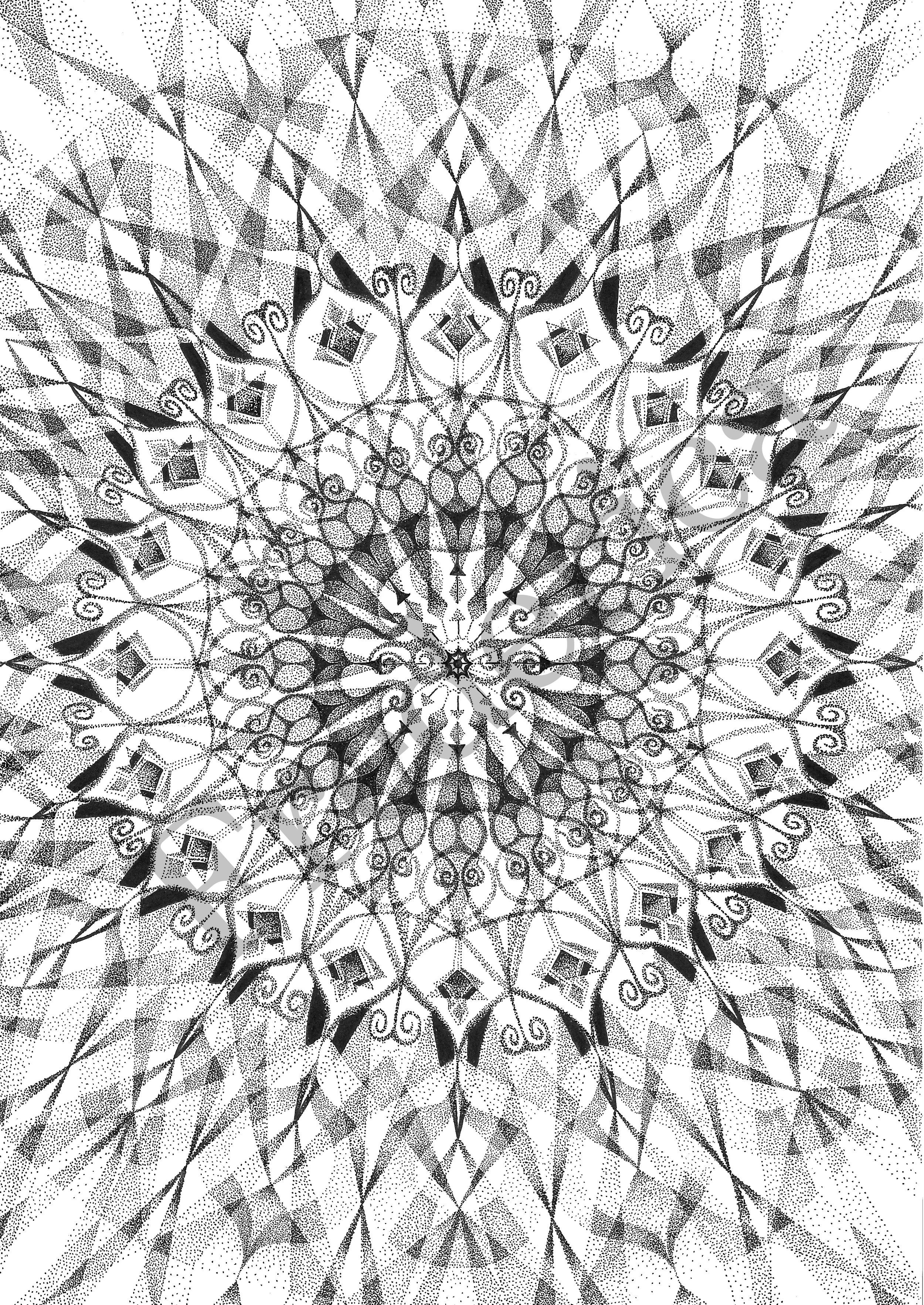 20241005111807111_0001.jpg