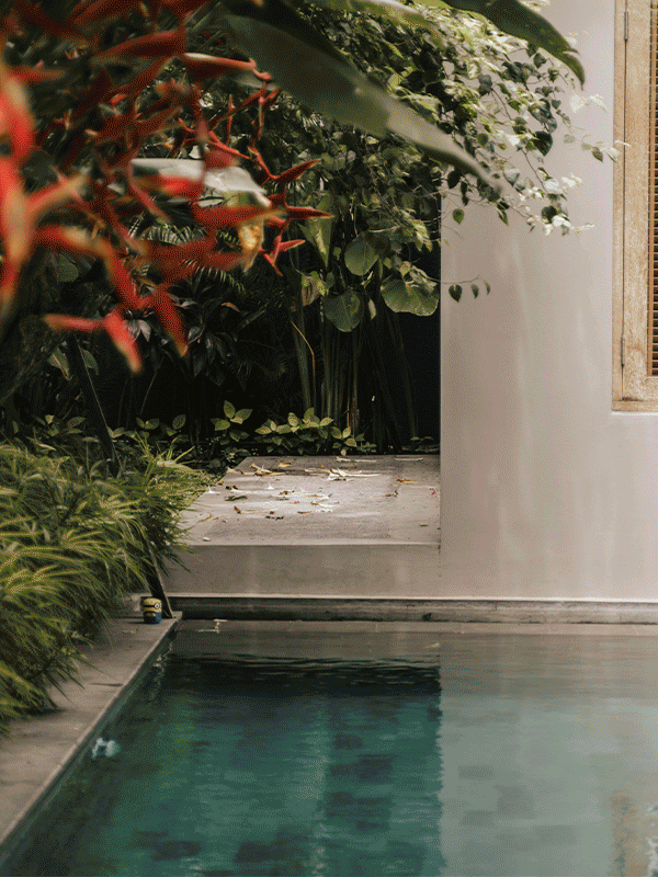 A swimming pool with dark water next to a concrete patio, surrounded by lush green plants and trees, in a modern outdoor setting.