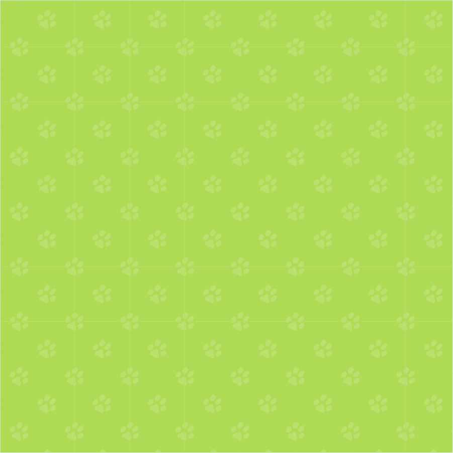 09_LT_Pattern_03-min.png