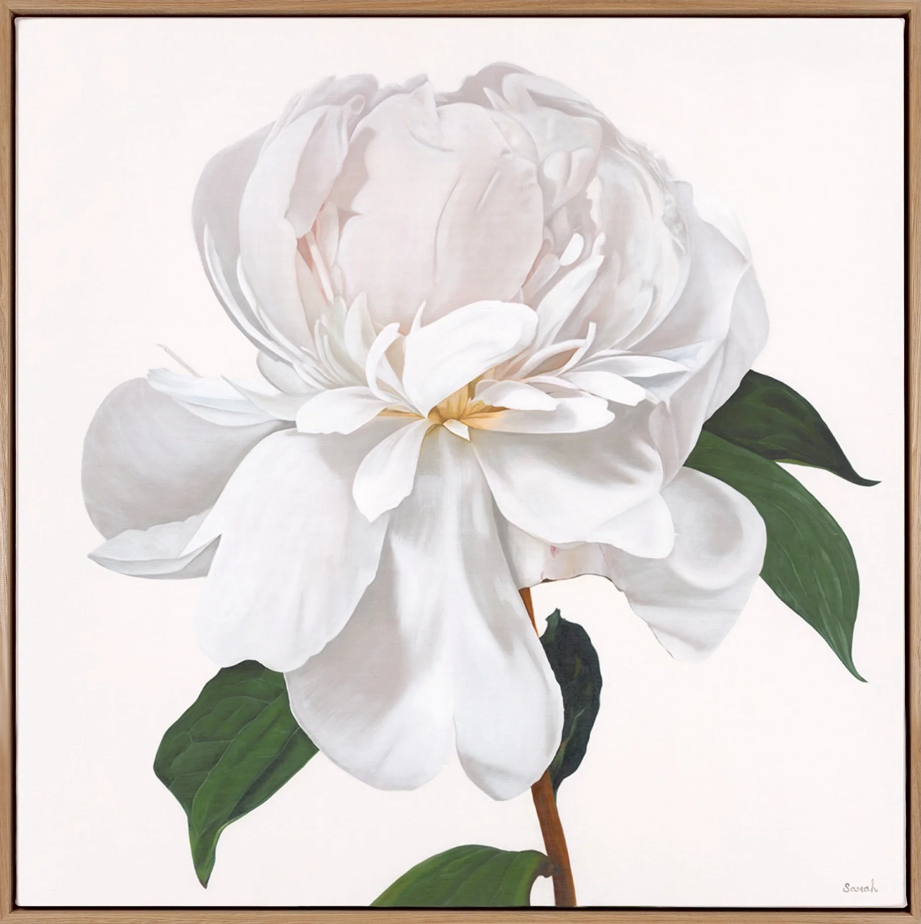 Penelope, 2025, oil on linen, 96.5 x 96.5cm SOLD