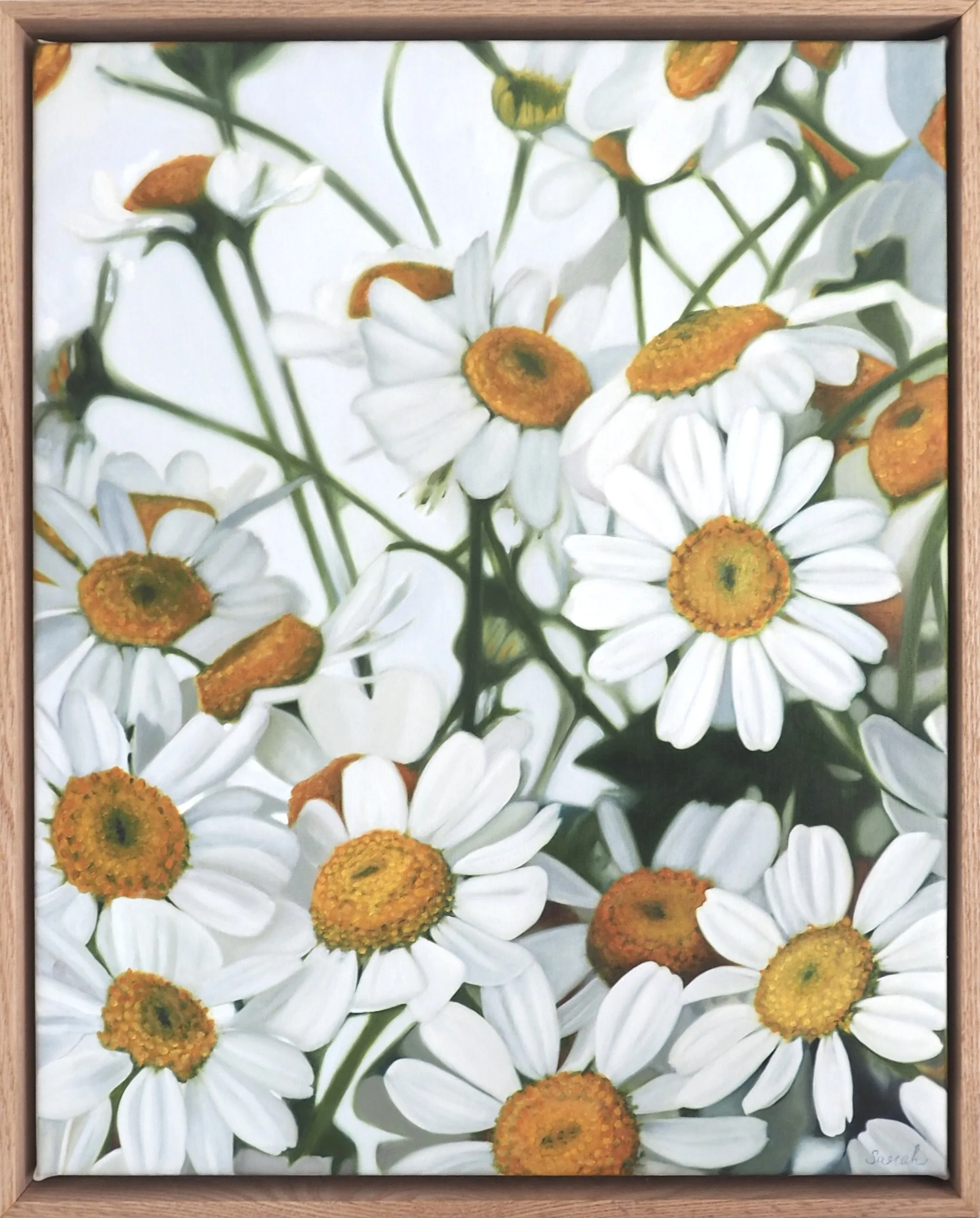 Painting of white daisies with yellow centers in a natural setting.